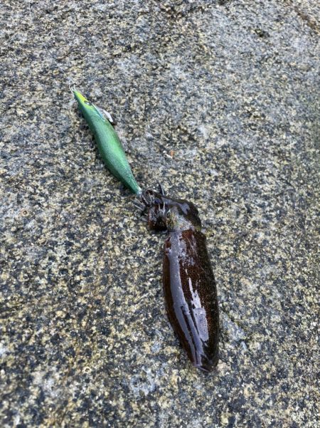 良型目指すのみ！！