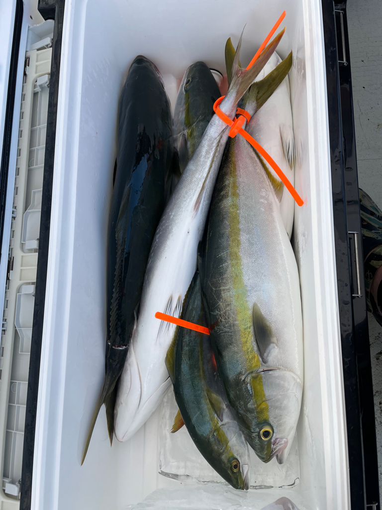 明石沖ジギング