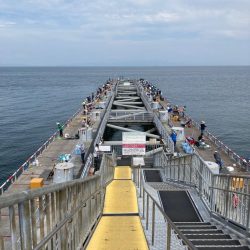 とっとパーク小島で飲ませサビキ☆