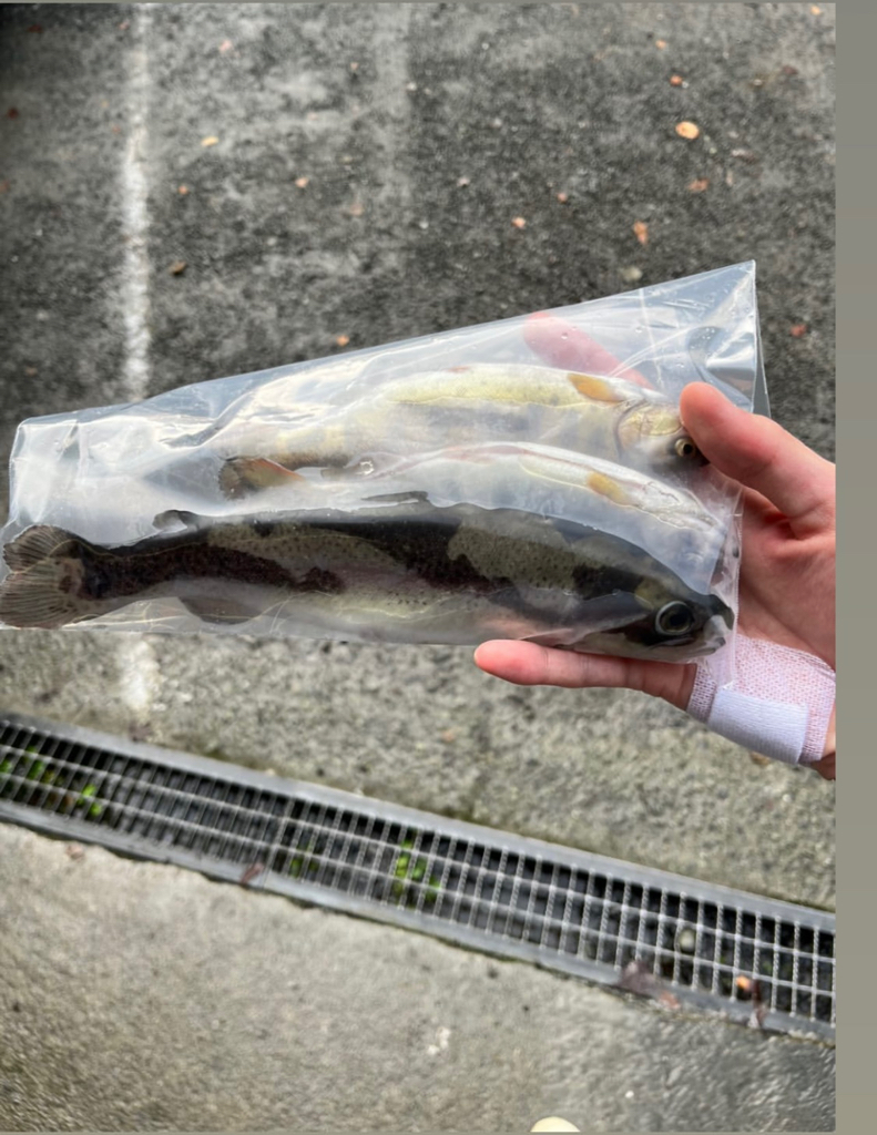 木郷滝自然つりセンター