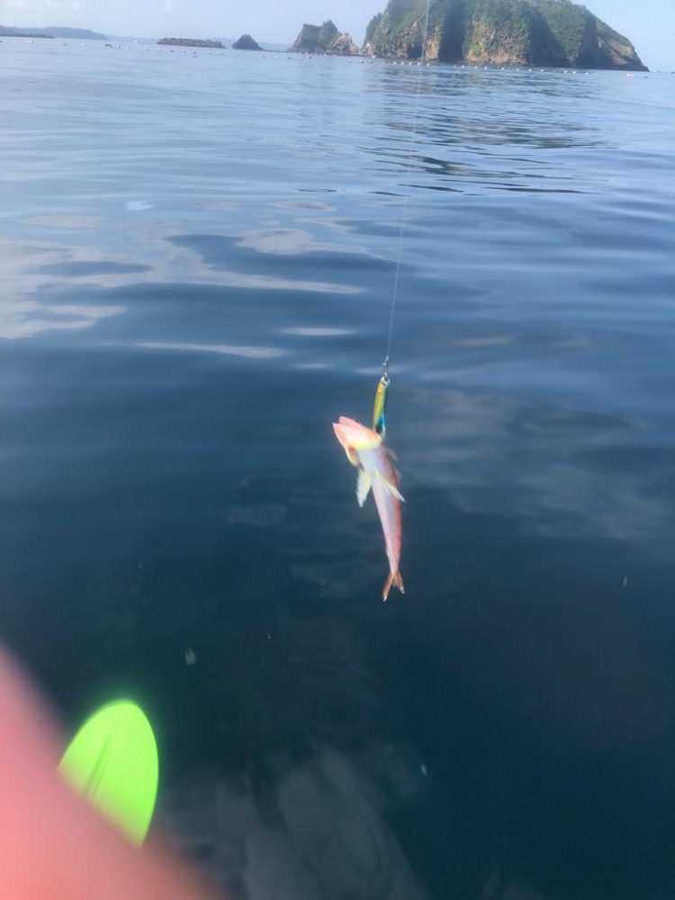 supフィッシング