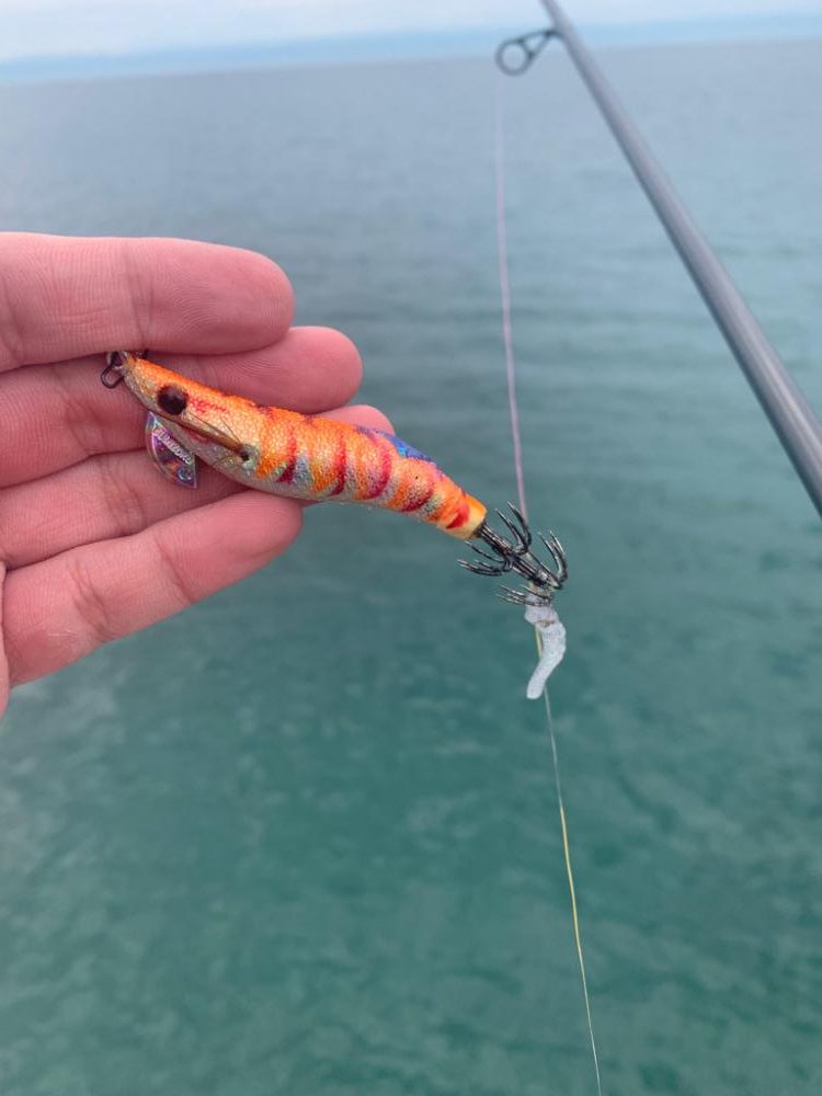 念願のシーズン開幕か！