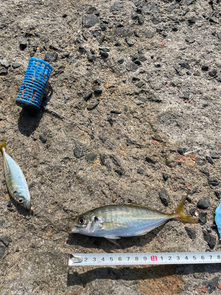 釣り方定まらず。