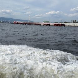 初めての乗合アジ便