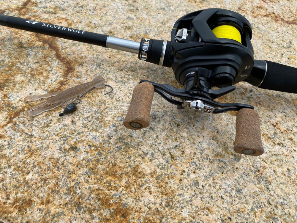 昼の淀川チニング