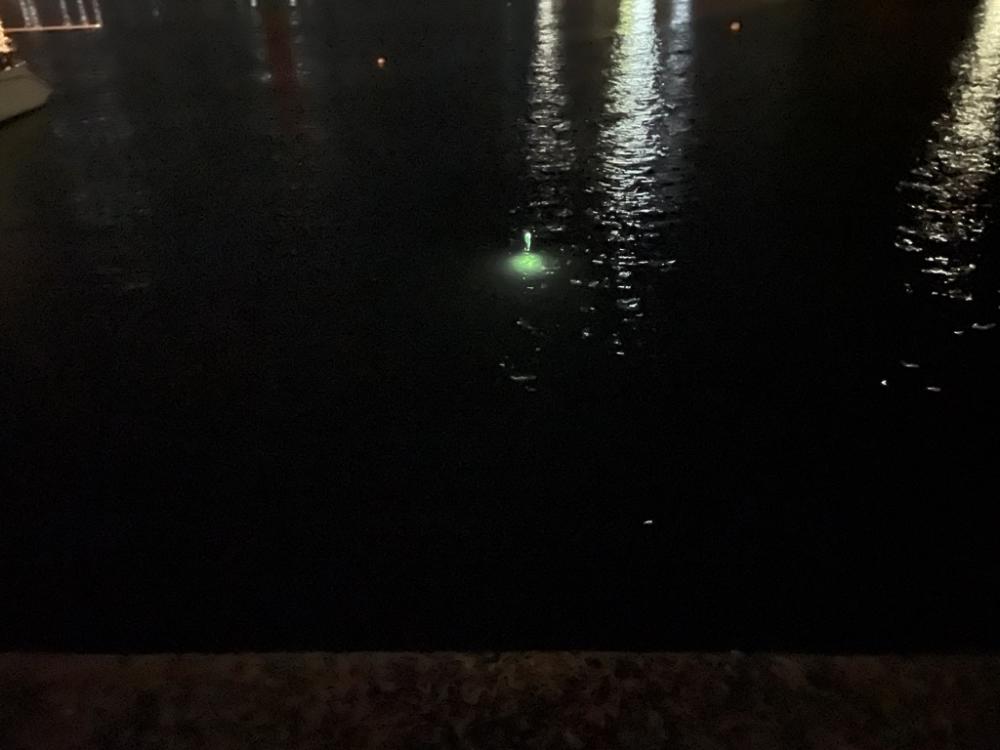 太刀魚釣りに行きました