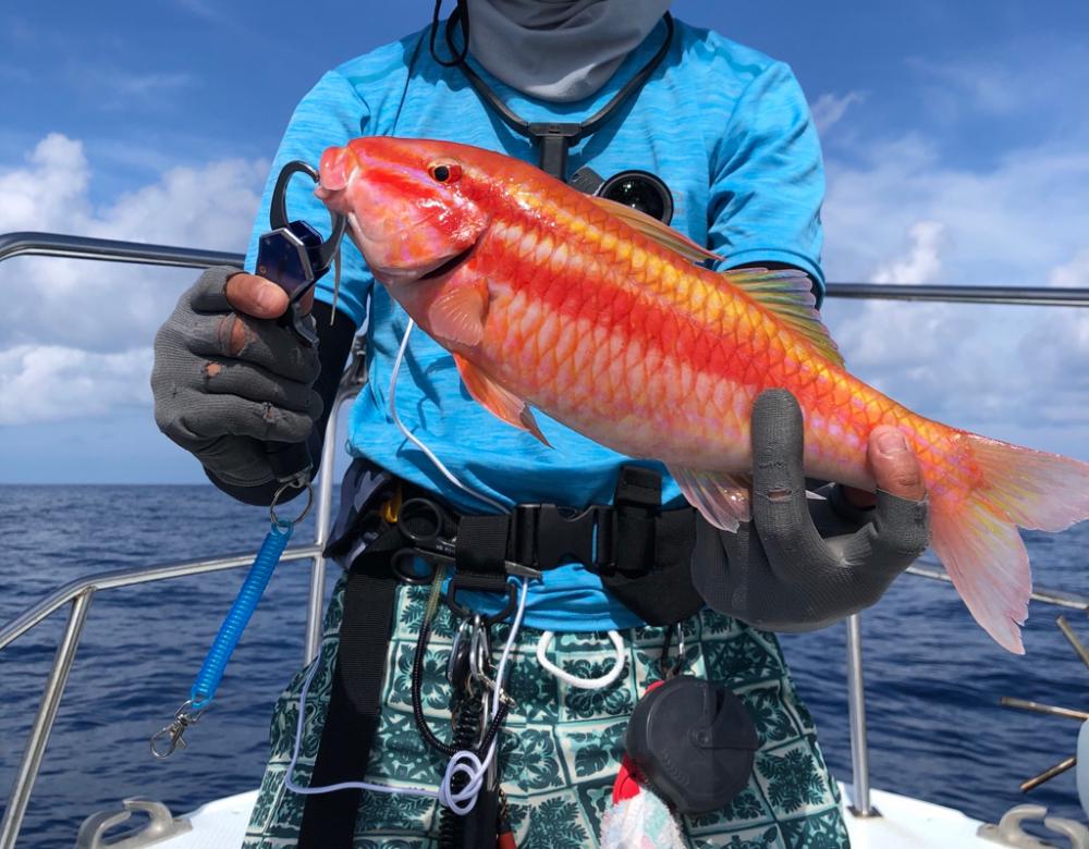 SLJ &タイラバ。リレーで多種の引き！