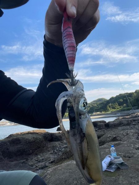 エギング中毒者が海に向かう！！