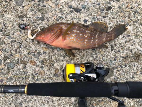 お盆の帰省　第二弾