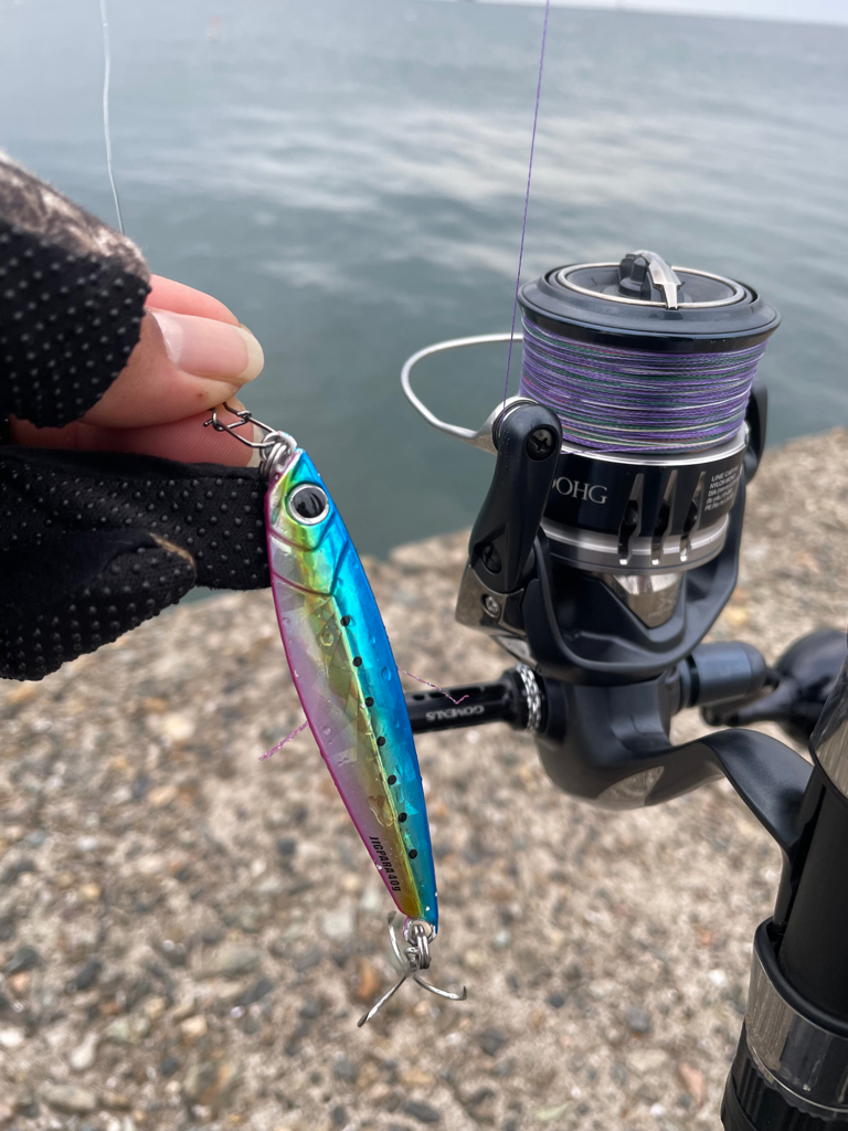 爆風のショアジギング
