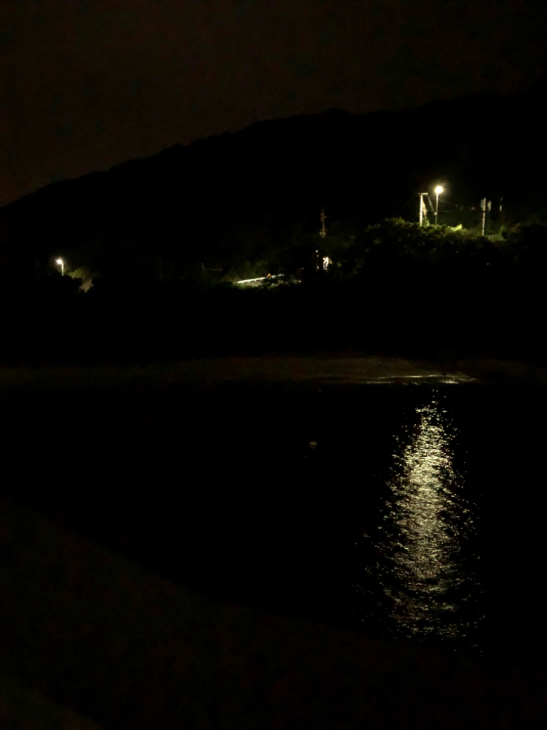 短時間でも満足タチウオ !