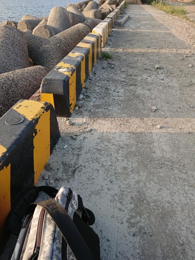 エギングと刀狩り❗