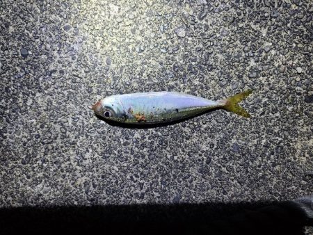 遠征(三重県前半)