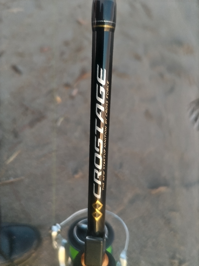 夕暮れのマゴチ