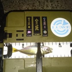 お目当ての魚は釣れませんでした。