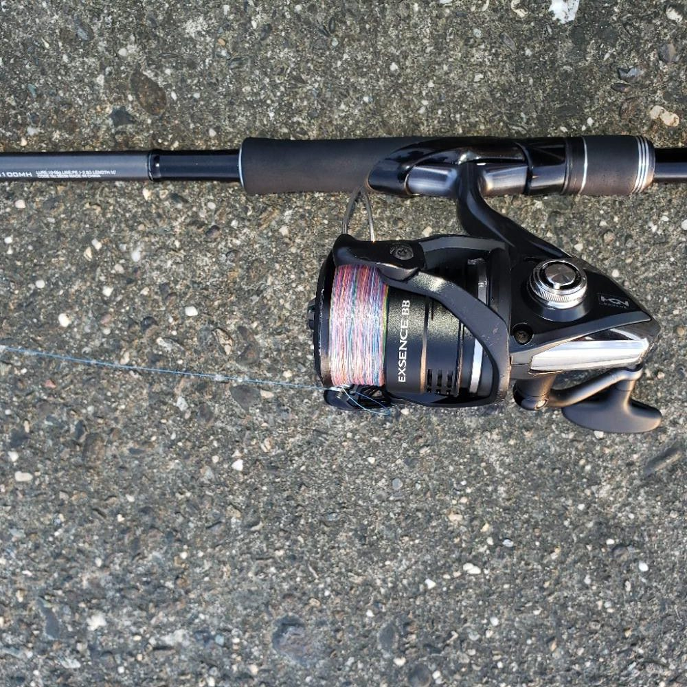 こんちはスズキさん!