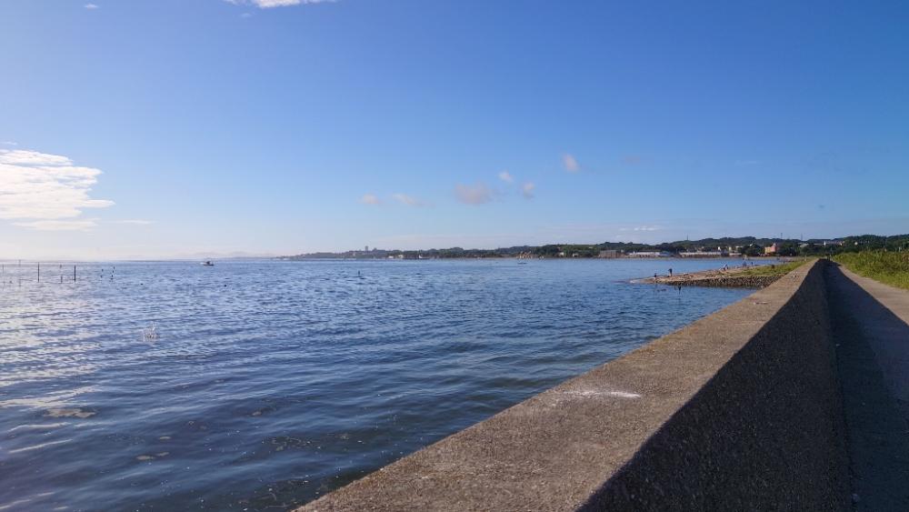 キスのチョイ投げ