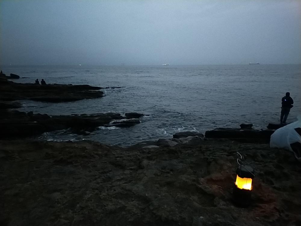 朝マヅメ青物回遊あり