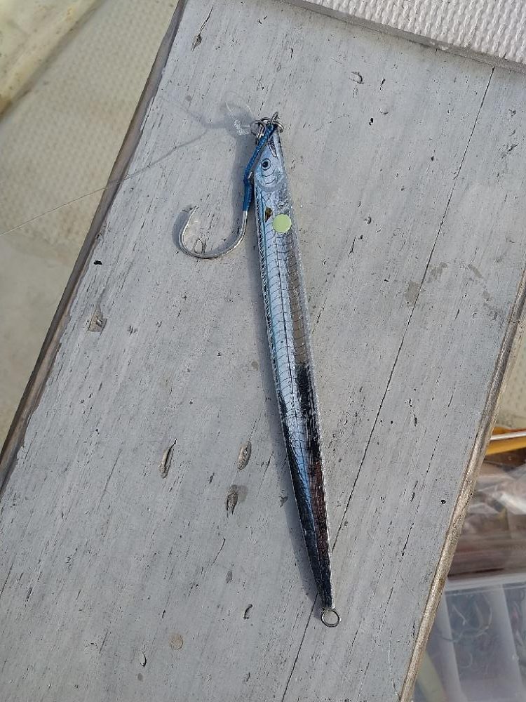 明石ジギング 午後便☆