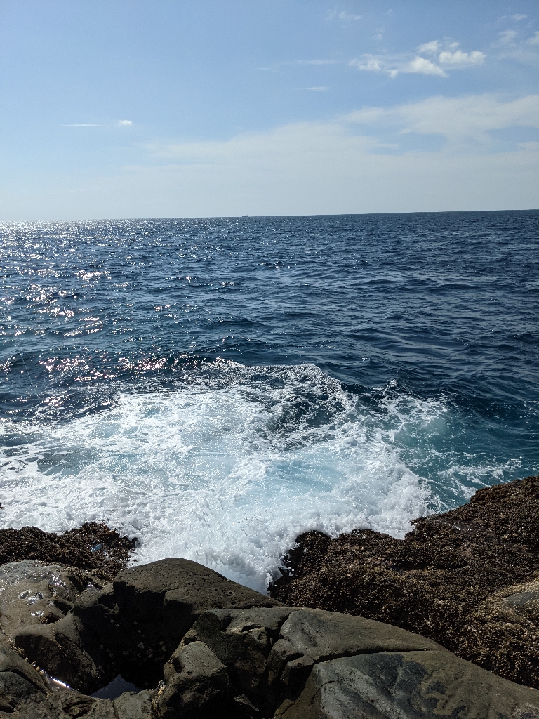 南紀沖のセシマ