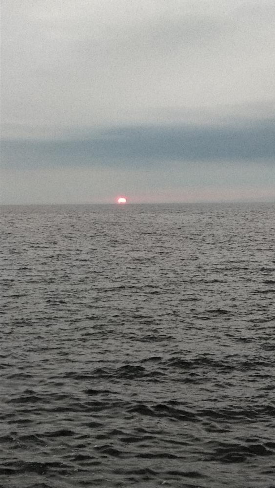 シーズン初タチウオ