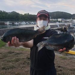 クロ釣り(畝刈)