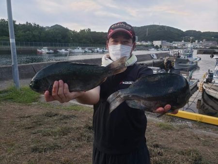 クロ釣り(畝刈)