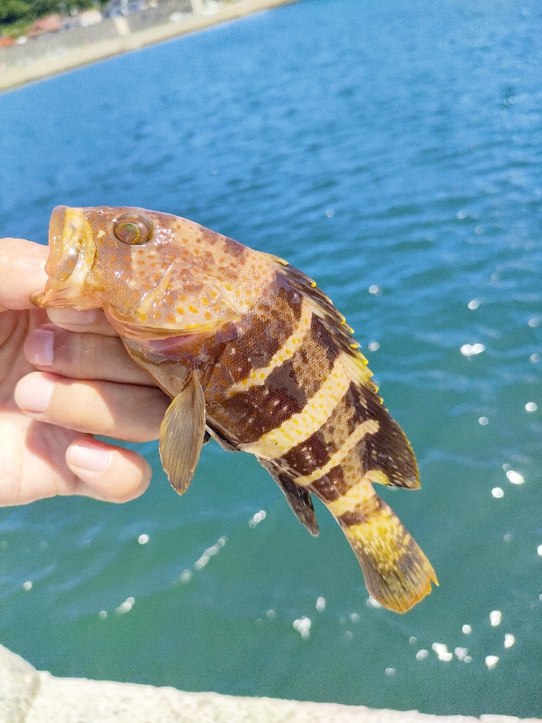 小潮にしては…