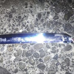 がしら、太刀魚