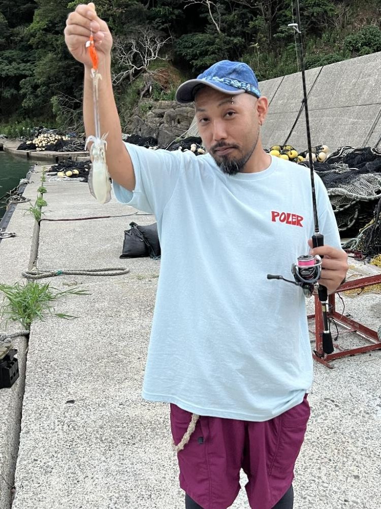 日本海イカ調査