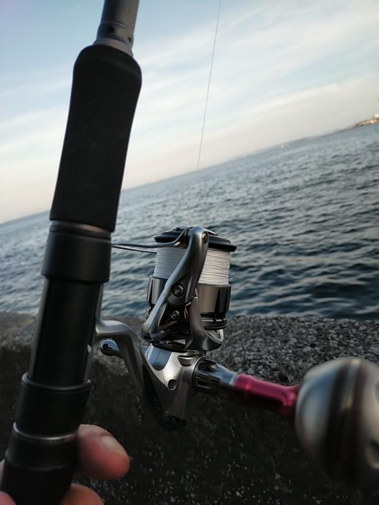 新小の太刀の季節