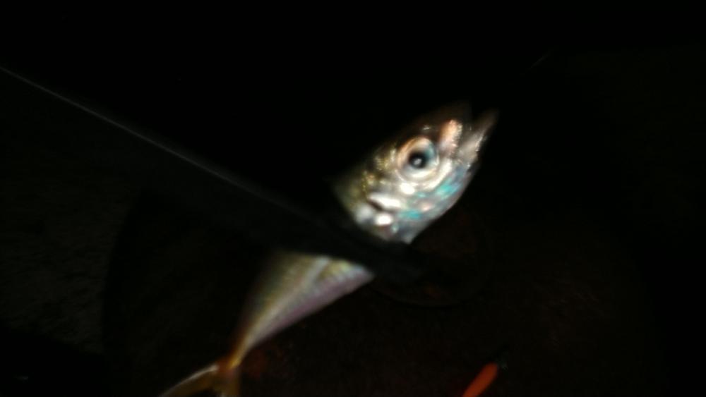 台風後明け厳しい天候の潮岬