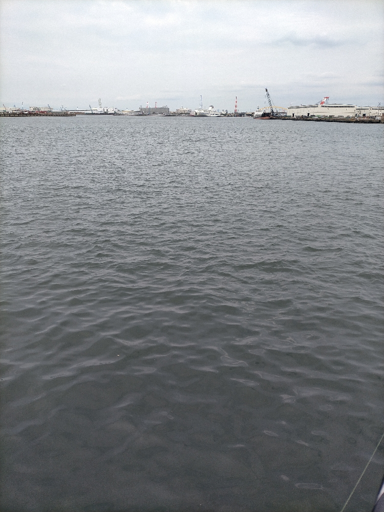 今日はサヨリ釣り!!