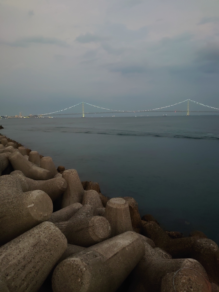 大サバとメバル