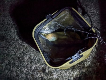 今季9杯目🐙！！