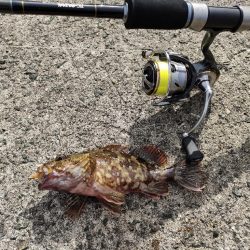 いつもの浜田港にて