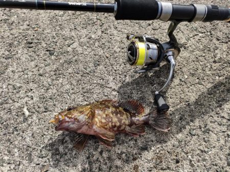 いつもの浜田港にて