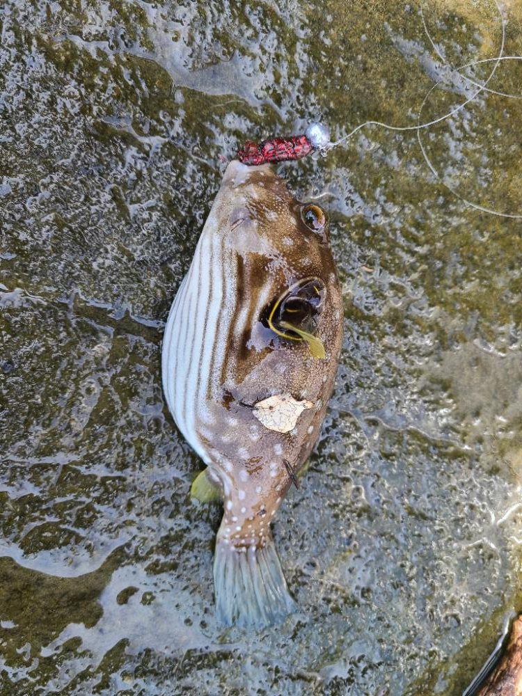 遠征(和歌山後半)