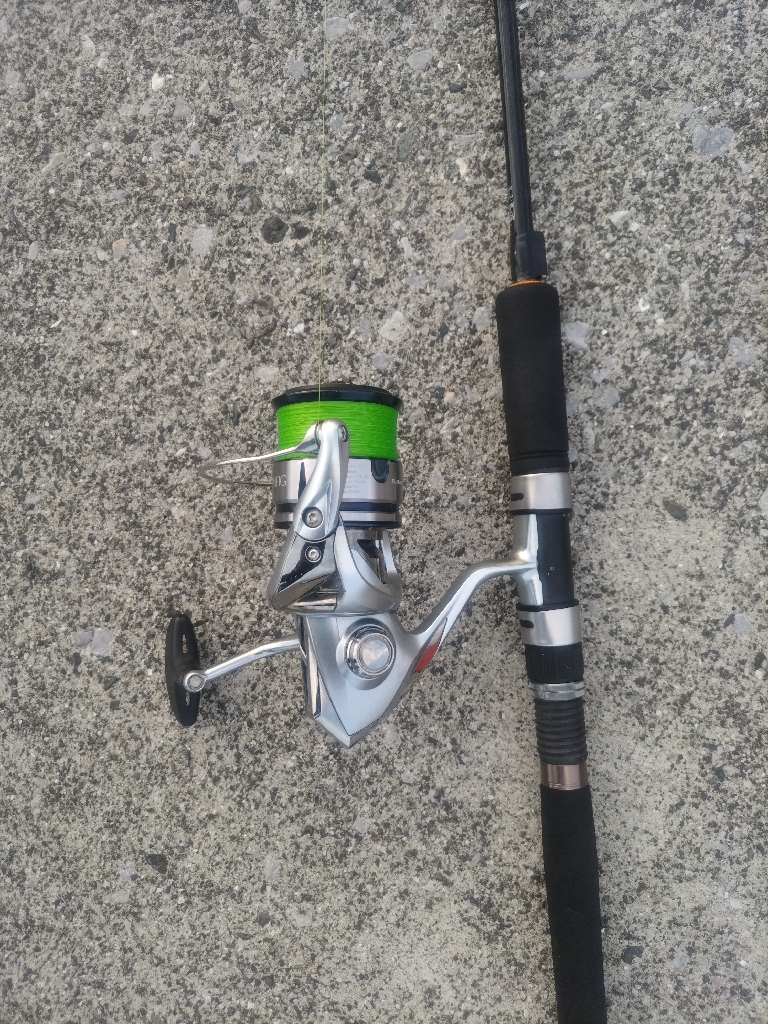 ネイゴ釣れました!