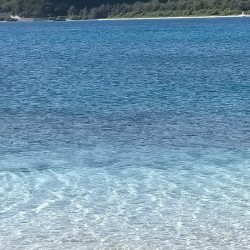 今年二回目の沖縄