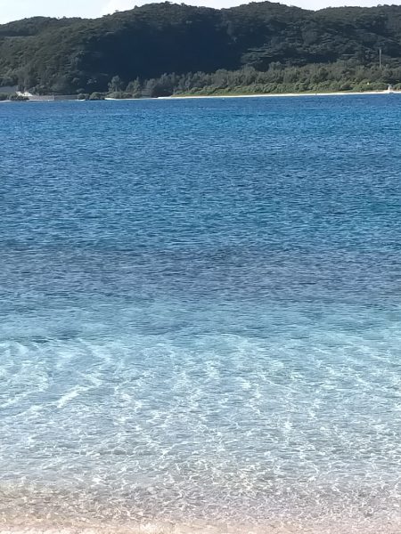 今年二回目の沖縄