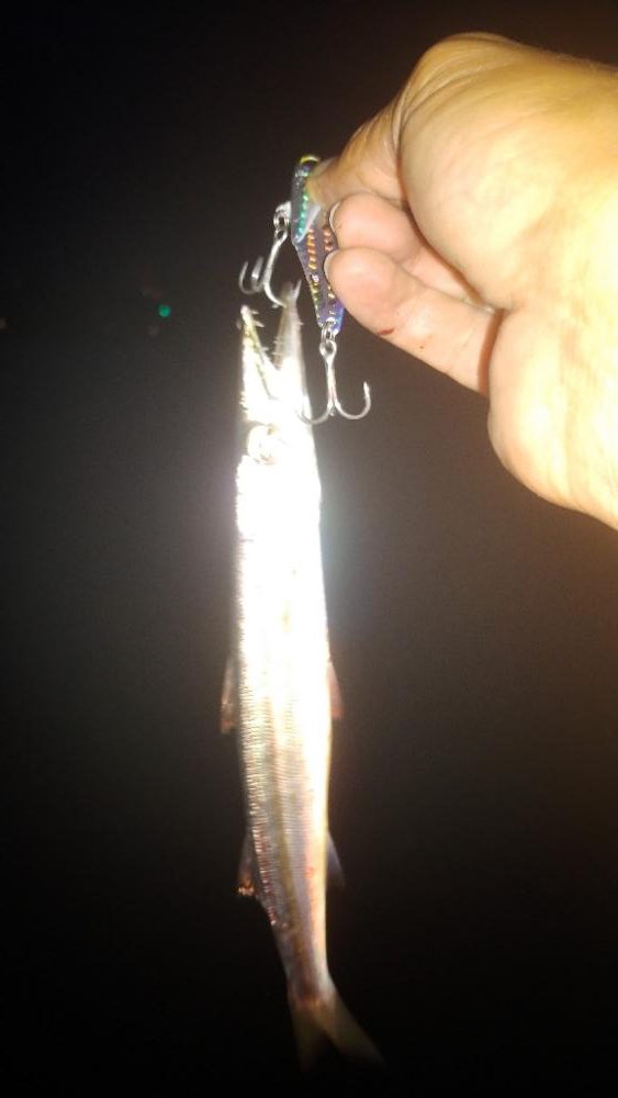 釣りツーリングキャンプ2日目