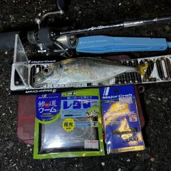 「レダマ」で楽しむ夏アジング