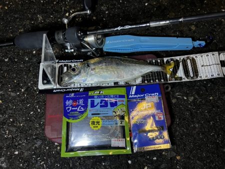 「レダマ」で楽しむ夏アジング