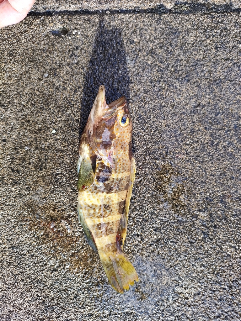 いつもの浜田港にて