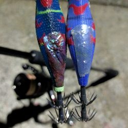 【餌木蔵スケスケカラー】宇和海デイエギング