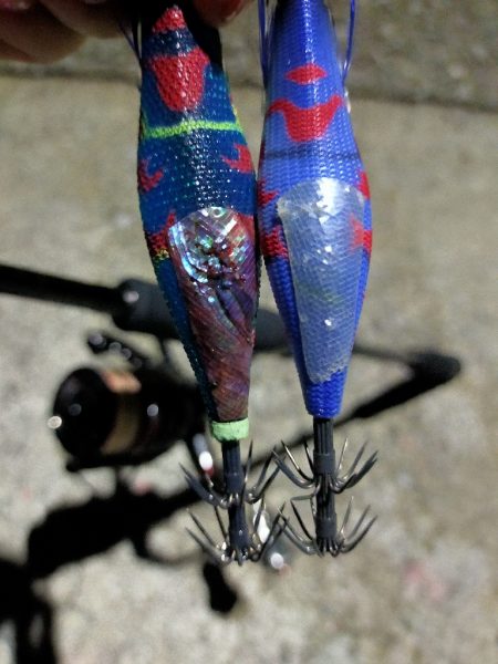 【餌木蔵スケスケカラー】宇和海デイエギング