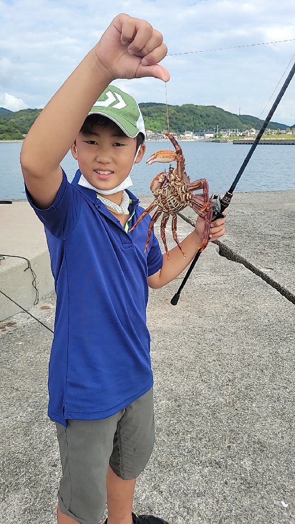 雨の中、のませでガシラ