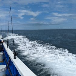 初魚種GETです✨