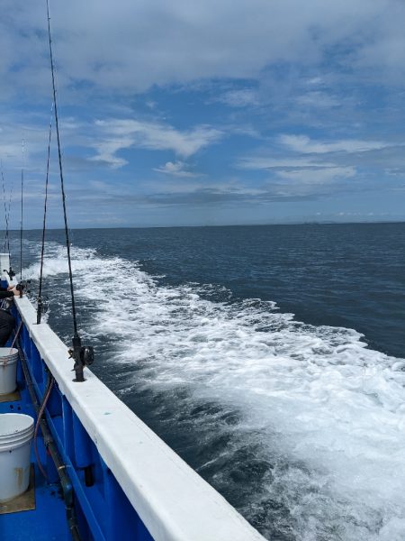 初魚種GETです✨